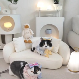 귀요미들💕
⠀⠀ 
⠀⠀ 
⠀⠀ 
#먼치킨 #먼치킨고양이 #귀여운고양이 #고양이일상 #고양이 