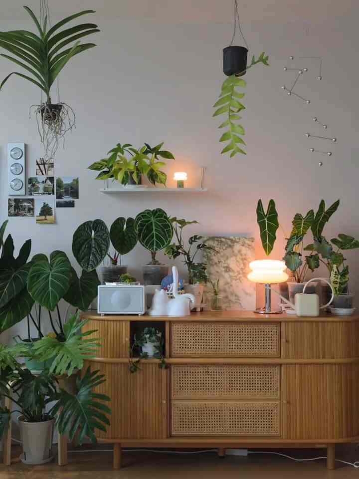 ＃かわいいテム 
。
 日差しが散布すると映るようなほのかな感性一枚🌿✨
寂しい壁面にインナージョギングシャドウポスターを載せただけなのですが、空間全体がモングルモングル温まる気分です。
実際の植物や木製家具の上に思わずふわっと置くと、まるで毎朝暖かい日差しが入ってくるような立体感ができます。過度に自然に見える度に心が快適になりますね。
単調な空間に穏やかな温もりを満たしたい方に散布 
お勧めします🤍
。
＃インナージョギング＃シャドウポスター＃感性インテリア＃フランテリア＃ホワイトウッドインテリア
#コンスープ
＃住宅ライフ＃タウンハウス＃家の装飾＃インテリア＃ホワイトウッド＃フランテリア 
＃あけましておめでとうございます 
＃お会いしましょう。 