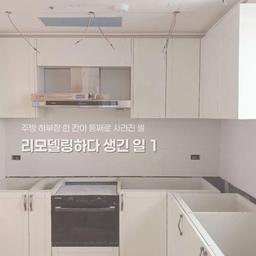 #리모델링하다생긴일 1편
반셀프 인테리어 하면서
주방 하부장 한 칸이 통째로 사라진 썰 🤦🏻‍♀️
저희 집 리모델링 당시,
공사가 한창 진행되던 어느 날이었어요.
중간 폐기물을 정리하는 과정에서
업체의 실수로 주방 하부장과 문짝 하나가 함께 폐기물로 버려지는 일이 생겼습니다.
아니… 잠깐만요.
그게 버릴 물건이 아니었는데요? 🫠
주방 수납 한 칸이 얼마나 소중한데…
냄비 하나, 그릇 하나 넣을 공간도 부족한 주방에서
멀쩡한 하부장 한 칸이 갑자기 사라져버린 거예요.
제 실수도 아니었기에 더 황당했고,
이미 버려진 하부장을 다시 되돌릴 수도 없으니
결국 이 공간을 어떻게 채울지 고민하게 됐어요.
당시 저희가 선택한 건
바로 식기세척기 + 직배수 로봇청소기.
지금이야 직배수 로봇청소기가 익숙하지만,
당시에는 출시된 지 얼마 되지 않은 초창기 제품이었어요.
정보도 많지 않았고
저 역시 ‘굳이 주방 수납 한 칸을 포기하면서까지
로봇청소기를 들여야 하나?’ 싶었거든요.
솔직히 그때는 속상했어요.
원래 계획에 없던 선택을 해야 했으니까요.
결국 버려진 하부장과 문짝 대신
새로운 하부장 공간을 만들고
흑경 소재의 문을 달아 마무리했습니다.
그리고 그렇게 완성된 저희 주방의 모습이 바로 이거예요. ✨
그런데 말이죠.
2년이 지난 지금은 생각이 완전히 달라졌습니다.
그때는 애물단지처럼 느껴졌던 그 공간에 들어온
직배수 로봇청소기, 일명 로청 이모님이
지금은 주방의 아주 든든한 지원군이 되었거든요.
걸레를 빨아 끼우고
물을 채우고
오수를 비우는 번거로움 없이
알아서 청소하고,
알아서 걸레 빨고,
알아서 말리고.
2년 전의 저는
“주방 수납 한 칸을 잃었다…”며 속상해했는데,
지금의 저는
“그때 그 하부장이 없어진 덕분에
로청 이모님이 우리 집에 오셨구나.”
싶기도 합니다. 😂
반셀프 인테리어 과정에서 업체의 실수로 버려진 주방 하부장.
그 황당한 사건 덕분에 우리 집에는 로청 이모님이 생겼다는 이야기.
인테리어는 정말…
계획대로만 흘러가지 않네요. 🫠
다음 편에는 또 어떤 일이 있었을지
기대해주세요. 🤍
#반셀프인테리어 #주방인테리어 #주방리모델링 #주방하부장
#직배수로봇청소기 #로봇청소기 #식기세척기 #로봇청소기장
#인테리어에피소드 #리모델링후기 #반셀프인테리어 #주방리폼
#인테리어실수 #드리미로봇청소기 #로봇청소기수납장 #로청장