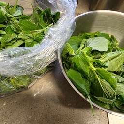 #오늘의우리집 
오늘 아침부터 반찬 만든다고 바빴어요~
깻잎순볶음 하려고 다듬는데
향이 어찌나 좋던지~
부추김치도 만들고~
나름 2가지 다 성공 한 것 같아요~
요즘 좀 힘든 시간을 보내고 있는데
지금 일상에 감사하며 회복하려고 노력중입니다~
#일상 #일상기록 #일상공유 #반찬
