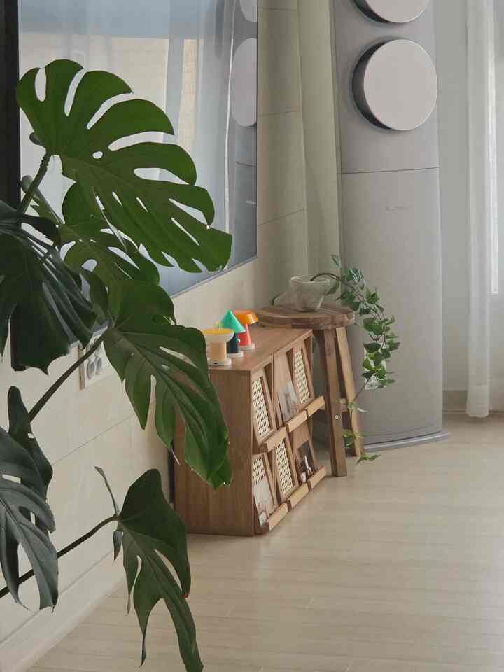 #우리집포토존  #집꾸미기 #집기록 #인테리어소품 #심플인테리어 #내추럴인테리어 #미니멀인테리어 #거실공간 #새벽감성 #아침의우리집 #일상기록 #무드등 