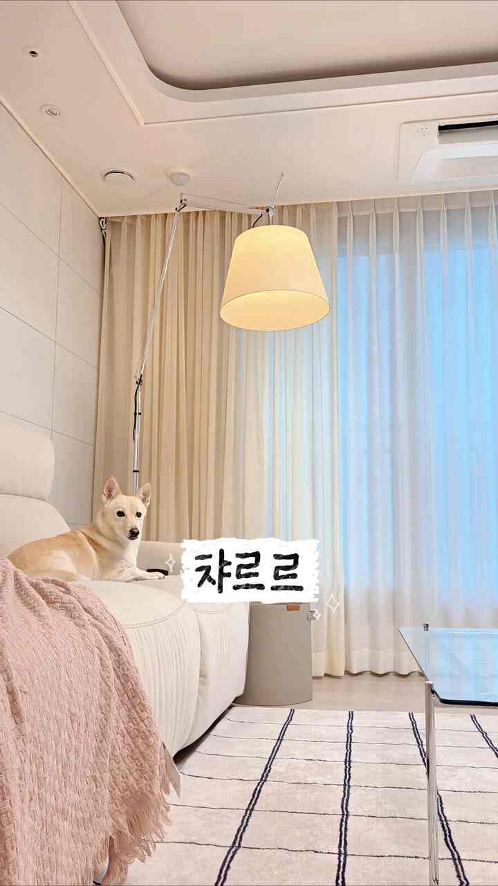  #아르떼미데톨로메오 #플로스 #강아지 #커튼스타일링 #거실인테리어 #콘수프기록집 #ftc25기