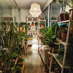 해가 지고 조명을 켜면 또 다른 분위기가 되는 우리 집 베란다🌙
초록 식물 사이에 미피 조명까지 더하니 작은 온실처럼 포근해졌어요.
하루를 마무리하며 가장 오래 머물고 싶은 저만의 힐링 공간입니다🤍
#식물인테리어 #베란다인테리어 #홈가드닝 #플랜테리어 #식물존 #미피조명 #베란다정원 #홈스타일링