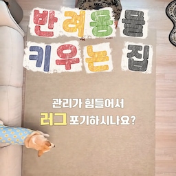 관리가 편한 펫러그로 우리 집 거실이 편안해졌어요 ☕️🐶
​강아지 키우면서 러그는 항상 고민이었어요.
포근한 인테리어도 더하고 싶고 아이 발이 미끄러지는 것도 걱정되는데,
털 박힘이랑 오염 때문에 매주 습식청소기를 돌리고 두 달마다 사고 버리기를 반복했거든요 🥲
​결국 맨바닥으로 지내다 정착한 이 러그 덕분에
요즘 우리 집 거실이 정말 편안해졌어요.
​거실의 포근한 무드도, 아이의 편안함도 다 챙길 수 있어서
요즘 거실에 머무는 시간이 참 좋아졌습니다 :)
#인테리어노하우 #펫테리어 #펫러그 #강아지와함께사는집 #러그 #생활방수 #ftc25기 #거실꾸미기 #콘수프기록집