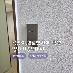 입주전 필수시공 '탄성코트' 기능성페인트 👍
양산 사송 #양산사송우미린
에어로젤(프리미엄) 제품으로 시공한 현장이며, 
색상은 선택가능합니다. 상담시 참고자료를 확인바래요~!
곰팡이/결로방지가 탁월하며, 건조가 빠르고, 냄새가 없으며, 들뜸이 적고, 내수성이 우수한 제품입니다
또한, 신소재 에어로젤,규조토,고령토 성분이 첨가되어서
단열효과 또한 우수한 친환경제품입니다👍
#심플홈케어 는 언제나 최고의 결과물을 
만들기 위해 최선을 다합니다
시공 견적은
카카오톡 : kjyhehe 
언제든 편하게 문의주세요🤗
🧭 경남/경북 전지역 시공
☎️ 010-6404-9766 / 0507-1317-9766
.
.
.
.
.
#양산탄성코트 #사송탄성코트 #곰팡이방지 #인테리어 #리모델링 #좋아요 #일상 #생활꿀팁 #정보 #입주시공 #탄성코트 #줄눈시공 #uv코팅 