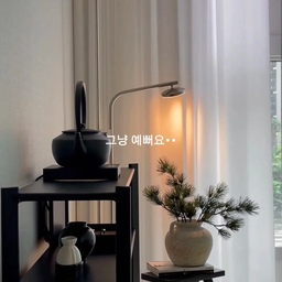 이런 느낌 화병 좋아하세요?
저는 요즘 테라코타, 와비사비 무드에 자꾸 눈이 가더라고요👀
리빙 셀렉샵 가면 꽤 비싸서 망설였는데
테무에서 보물찾기 성공했어요!••🤍
📍이런 느좋 인테리어 좋아한다면 저장해두고
쿠폰 챙겨서 예쁜 거 같이 써요 :)
✨한국 내 앱 사용자 대상. Temu 앱에서 코드 [kmg6434] 검색 시 39만 원 상당의 쿠폰 묶음 지급(ID당 1회)
#콘수프기록집 #예쁜템최고야 #테무 #테무추천템 #테무깡 #테무하울 #테무템 #테무인테리어 #와비사비 #젠스타일 #동양미 #동양미인테리어 #동양미한스푼 #화병추천 #화병 #꽃병 #꽃병추천 #오브제추천 #오브제인테리어 #인테리어소품 #방꾸미기 #모던인테리어 #미니멀인테리어 #소품추천 #소품에진심 #보자마자반한템 #신혼집인테리어 #신혼집꾸미기 #다도 #선반스타일링 