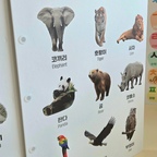 뒤집기를 시작한 조카에게
요즘 잘 쓰고 있는 #터미타임장난감 🐰

알록달록한 그림부터 거울, 까꿍놀이까지
아기가 볼거리도 다양해요.

접어서 보관하기도 편하고
성장하면서 오래 활용할 수 있어
#출산선물추천 으로도 괜찮았답니다🤍

#터미타임