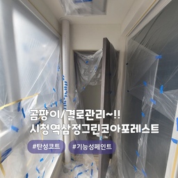 베란다인테리어 탄성코트 시공후기~!!
부산 연제구 연산동 #시청역삼정그린코아포레스트
올케어코트 (고급형) 제품으로 시공한 현장이며, 
색상은 선택 가능합니다~!
곰팡이방지,결로방지,건조가 빠르고, 냄새가 없으며, 들뜸이 적고, 내수성이 우수한 제품입니다
또한 신소재 에어로젤,규조토,고령토 성분이 첨가되어서 단열효과 또한 우수한 친환경 제품입니다👍
#심플홈케어 는 
언제나 최고의 결과물을 만들기 위해 최선을 다합니다
시공 견적은
카카오톡 : kjyhehe
언제든 편하게 문의주세요🤗
🧭 경남/경북 전지역 시공
☎️ 0507-1317-9766 / 010-6404-9766
.
.
.
.
.
#부산탄성코트 #연산동탄성코트 #곰팡이방지
#인테리어 #리모델링 #좋아요 #일상 #생활꿀팁 #정보 #입주시공 #탄성코트 #줄눈시공 #uv코팅 #daliy #물때방지 #입주시공 #결로방지 #UV코팅 #원목코팅