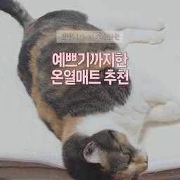 #제품제공 | 연휴 끝나자마자 날씨 왜 이렇게 쌀쌀해진 거죠...🥶
작년에 쓰던 전기장판 꺼냈다가 꼬질꼬질한 비주얼에 깜짝 놀라서 이번에 깔끔하게 새로 장착했어요✨
인테리어를 해치지 않는 컬러와 디자인이라 더 마음에 드는 노르딕슬립 온열매트예요.
부드러운 촉감에 포근한 온열감까지 더해지니 올겨울 꿀잠 준비는 진짜 끝인 듯...🛏️💤
#노르딕슬립 #NORDICSLEEP #카본매트 #온열매트추천