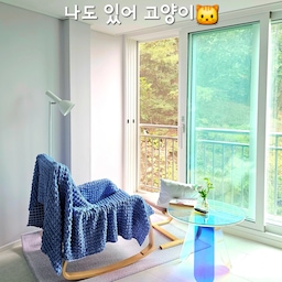 고양이 없는 저는.. 피드보며 대리만족만 느꼈어요.
하지만 이날은 나도있어고양이🐈‍⬛ㅋㅋ
한번씩 보이는 냥인데
이날 서재에 앉아서 쉬고있는데 딱 보이더라구요♡
완전 힐링 모먼트💜
히히 한참 주무시다가 카메라 소리에 눈 마주쳐버렸🫢
예전에, 
사둔 간식 던져줬는데 힘이 없어서 고양이 한테까지 안 가더라구요ㅜ (투포환 선수이고싶다ㅋㅋ)
몇번 시도했더니 위협하는건줄 알고 냥이가 가버렸어요😅
그 뒤로는 냥이님 거슬리지않게 바라만 봅니당ㅎㅎ
#오늘의우리집 #콘수프기록집 #서재인테리어 #서재꾸미기 #서재방 #서재방인테리어 #힐링공간 #힐링존 #힐링템 #힐링스팟 #힐링인테리어 #컬러인테리어 #컬러포인트 #컬러테리어 #컬러포인트인테리어 #흔들의자 #안락의자 #패브릭 #패브릭인테리어 #패브릭소품 #패브릭의자 #홀로그램 #홀로그램테이블 #아크릴테이블 #아크릴가구 #아크릴협탁 #러그인테리어 #러그추천 #러그카페트 #고양이