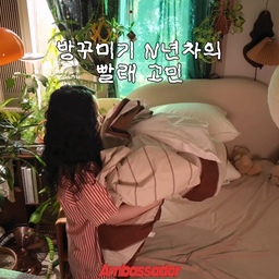 본 콘텐츠는 LG전자의 지원으로 제작된 LG전자 앰버서더 활동 콘텐츠입니다.
본인의 실제 경험을 바탕으로 한 개인의 주관적 견해이며, 사실과 다를 수 있습니다.
방꾸미기 N년차의 빨래 고민🧺
방꾸미기를 하다 보니 침구도 점점 늘어나고, 커튼이나
러그 같은 패브릭도 많아졌어요.
좋아하는 것들로 방을 채우는 건 정말 좋은데, 빨래할 때는
또 다른 고민이 생기더라고요. 특히 이불빨래는 부피가
크다 보니 세탁하고 건조까지하면 시간 순삭🫠
그래서 이번에 LG 트롬 AI 워시콤보를 직접 보러 다녀왔어요.
25kg 세탁, 21kg 건조라 이불빨래도 가능하고, 세탁·건조를
한 번에 할 수 있는데다 AI 타임센싱으로 예상 시간도 약 3초
만에 바로 알려준다고 해요.
미니워시를 함께 사용하면 다른 빨래도 동시에 할 수 있고요.
알아보니 LG전자에서 AI 워시콤보를 위해 5인조 AI-DOL도 
만들었다고해요.  AI-DOL의 음원 ‘I Wash’도 이번에 알게 
됐어요🎵
마침 LGE.COM에서 AI 워시콤보 론칭 기획전도
진행 중이라고 하니, 저도 얼른 보러 가봐야겠어요.
✔️ AI 워시콤보 론칭 기획전 링크는 프로필에 올려둘게요.
-
@lge_ambassador @lgelectronics_kr @lge.com_official
#LG전자 #LG전자앰버서더 #LG전자앰버서더4기 #보고있나LG전자 #AI워시콤보 #오늘의우리집 #콘수프기록집 #세탁기추천 #세탁 #침구세탁 #이불빨래 #집꾸미기 #홈스타일링