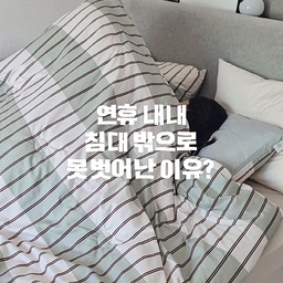 아침저녁 제법 쌀쌀해진 요즘 🍂
저희 집 침실은 벌써
가을 옷으로 갈아입었어요!
​세련된 버건디 스트라이프와
톤다운 민트의 감성적인 배색🤍
​촉감에 예민한 로이도 푹 빠져서
틈만나면 이불위로 올라와요🐾
깔끔한 마감부터 부들부들 촉감까지 좋은
QK 사이즈 이불+베개 세트가
5만원도 안한다면 믿어지시나요?😍
제품정보는 영상속 태그를 확인해주세요🤍
#베베데코 #베더8기 #차렵이불 #사계절이불 #베개커버
#가을이불 #간절기이불 #가성비이불 #기숙사이불
#원룸이불 #자취생이불 #신혼이불 #예쁜템최고야
#콘수프기록집