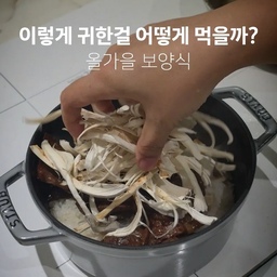 제철 식재료로 만든 우리 집 보약, 송이 소고기 솥밥🍄
선물 받은 자연산 송이로 솥밥을 지었어요. 봄동이가 열심히 씻어준 쌀에 송이 갓을 넣어 밥을 짓고, 소고기는 소금·후추와 간장 으로 간해서 구웠어요.
밥이 다 되면 구운 소고기와 손으로 찢은 송이 몸통을 올려 마지막으로 뜸을 들여요. 밥을 퍼서 들기름 살짝 둘르면, 송이와 소고기의 조화가 참 좋더라구요.
자연송이가 아니어도 괜찮아요. 
좋아하는 버섯으로 만든 따뜻한 솥밥 한 끼 어떠실까요?🤍 
#송이솥밥 #버섯솥밥 #솥밥 #집밥 #오늘의집밥상 #제철식재료 #가을밥상 #한그릇요리 #소고기솥밥 #우리집식탁
