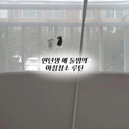 청소할 때 자꾸 손이 가는
우리집 청소 추천템 3가지 🧹🤍
거창한 청소템보다 결국 자주 꺼내 쓰게 되는 게 찐템이더라구요 !!
요즘 저희 집에서 제일 잘 쓰고 있는 청소템 3가지만 골라봤어요 🫶🏻
🫧 코멧 돌돌이
바닥이나 소파에 보이는 머리카락, 먼지 정리할 때 바로 슥슥 !
사선 컷팅이라 사용한 부분 떼어내기도 편해서 수시로 손이 가는 기본 청소템
🫧 무해로움 수수
알칼리이온수로 만든 살균·세정제로 , 뿌리고 닦아주거나
침구나 소파등 소독하기에 너무 좋은템 -!!
주방이나 식탁 , 장난감처럼 단단한 곳을 닦을 때도 쓰고
청소부터 소독까지 하나로 간편해요 ✨
🫧 무해로움 무무
침구나 소파처럼 세탁하기 어려운 패브릭 관리할 때 애정하는 아이템 🤍
피톤치드 100% 편백수 탈취제로 , 인위적인 향으로 덮기보다
냄새 원인균을 분해해 탈취하는 제품
청소는 미루면 더 하기 싫어지는 법 … 🥹
눈에 보일 때 바로바로 꺼내 쓰기 편한 아이템들 덕분에
요즘은 청소 루틴도 한결 간단해졌어요 ✨
#오늘의집 #오늘의집추천템 #오늘의집FTC #FTC29기 #청소추천템 #청소템 #살림추천템 #살림꿀템 #청소용품 #청소용품추천 #코멧돌돌이 #테이프클리너 #무해로움 #무해로움수수 #무해로움무무 #살림스타그램 #집청소 #청소루틴 #육아살림