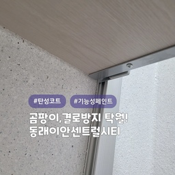 곰팡이,결로방지에는 역시 탄성코트 ⭐️
부산 동래 온천장 #동래이안
올케어코트 (고급형) 제품으로 시공한 현장이며, 
색상은 선택 가능합니다~!
곰팡이방지,결로방지,건조가 빠르고, 냄새가 없으며, 들뜸이 적고, 내수성이 우수한 제품입니다
또한 신소재 에어로젤,규조토,고령토 성분이 첨가되어서 단열효과 또한 우수한 친환경 제품입니다👍
#심플홈케어 는 
언제나 최고의 결과물을 만들기 위해 최선을 다합니다
시공 견적은
카카오톡 : kjyhehe
언제든 편하게 문의주세요🤗
🧭 경남/경북 전지역 시공
☎️ 0507-1317-9766 / 010-6404-9766
.
.
.
.
.
#부산탄성코트 #동래탄성코트 #온천장탄성코트
#인테리어 #리모델링 #좋아요 #일상 #생활꿀팁 #정보 #입주시공 #탄성코트 #줄눈시공 #uv코팅 #daliy #물때방지 #입주시공 #결로방지 #UV코팅 #원목코팅 #곰팡이방지