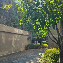 #_화창한 날씨 산책 🌳 
저는 보육교사로 아이들을 보육하는 일을 하고 있어요 : )
아이들과 바깥놀이를 나오는 날이면 놀이터에 가기도 하지만
함께 산책을 하기도 한답니다🩷
선생님과 함께하는 산책을 좋아하는 아이들이
정말 고맙네요ㅎㅎ
화창한 날씨에 햇빛에 비추어진 식물들이 너무 예뻐
사진 찍어보았어요!
#화창한날씨 #나무 #숲 #햇살 #햇살좋은날 #햇빛 #햇살가득 #맞팔 #맞팔환영 #맞팔해요 #맞팔선팔 #맞팔소통 #맞팔환영해요 