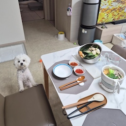 #콘수프기록집 #오늘의우리집 
혼자있어도 건강하게 맛있게 챙겨먹고싶어서
요즘은 잘 챙겨먹고 있어요!
근데 또 손 많이 안가고 간편하게 할 수 있는..😁
그러다보니 요즘 쿠커를 정말 잘 쓰고있어요!
가을이라 더더 따뜻한 음식이 생각나는데
딱 샤브샤브가 땡겼어요!
근데 샤브샤브 집에서 한번 먹으려고 하면 
준비하는 것도 많고 복잡해서 잘 안 먹게 되는데 
이렇게 쿠커에다가 하니까 간편하고 너무편하고
생각보다 깊어서 내용물도 넉넉히 들어가서 
2인도 가능할 것 같아요.!
찜, 삶기, 전골, 샤브 등등 다방면으로 사용할 수 있는 멀티쿠커라서 너무 잘 사용하고 있고 
특히 혼밥할 때 맛있게 잘 챙겨 먹을 수 있는 
도구가 될 것 같아요.😋
#멀티쿠커 #혼밥 #샤브샤브 #맛있는음식 #우리집식탁
