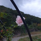 #콘수프기록 #오늘의기록 #일상기록 
#오늘의가든 #오늘의힐링 #산책길 