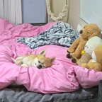 오늘 아침 🐶 

#콘수프기록집 #오늘의우리집 #맞팔