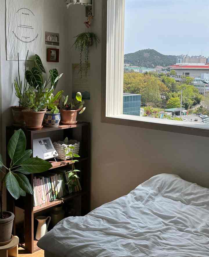 ホワイトの壁と木目調の棚、様々な植物が置かれた小さな寝室、広い窓から自然の風景が望める雰囲気のある空間