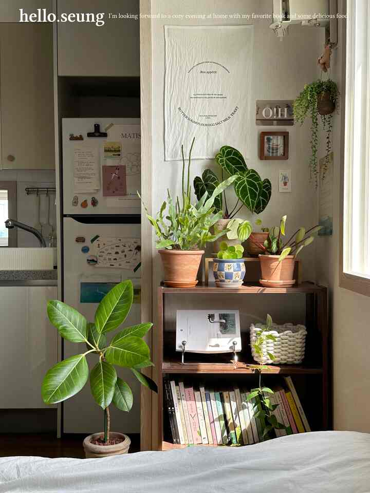 明るい木目調と白を基調とした寝室、複数の植木鉢と植物が置かれた棚と居心地の良い寝具が配された雰囲気のあるインテリア