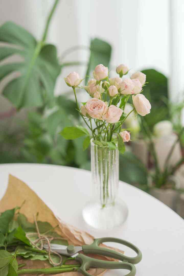 #오늘의힐링
自宅で探す自分の癒しの瞬間 8.
幼い頃はなぜ人々が花が好きなのか？
本当に役に立たない〜〜と思いました。
今は生花を入れるその時間が癒しの時間になると思います:) #꽃인테리어 #화병 #꽃꽂이 #꽃테리어 #꽃선물 #플리츠화병 #꽃병 #집에서제일바빠 #힐링타임 #취미생활 #원예 #홈가드닝 #맞팔  