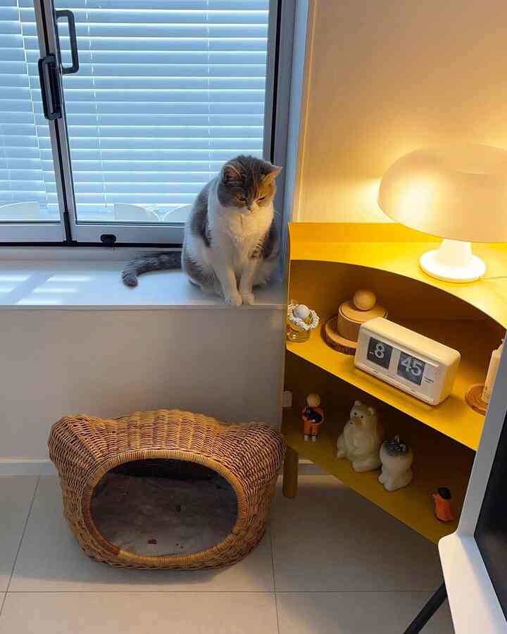 白と黄色のトーンの寝室の一角、窓辺の猫とラタンのキャットハウス、テーブルランプと時計が配置された雰囲気のあるインテリア