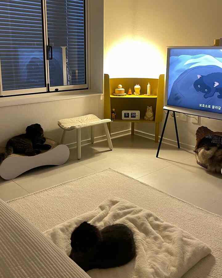 白と黄色のトーンのリビング、3匹の猫と心地よいブランケット、暖かい黄色の照明が雰囲気ある空間を演出