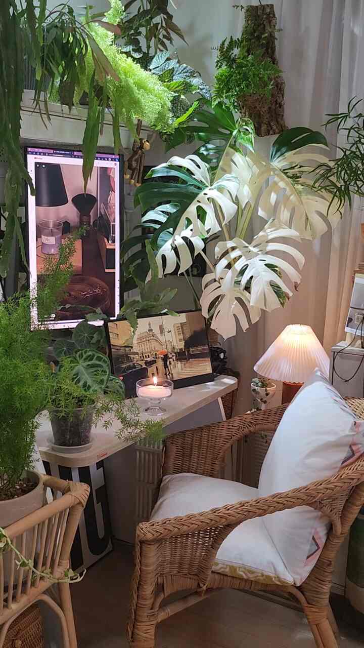 Although it is a small desk, it is enough to enjoy a rainy midsummer room during the rainy season.
We increased storage capacity by installing an attached hidden drawer under the shelf above the desk. This price is cheap too.
While I'm at it, should I put it under the desk as well?

The candle is Kukka's sugar candle. Since it is made of 100% natural palm ingredients, it is harmless to the human body and is good to use even in homes with pets. The scent is completely hotel scent. It's in powder form, so you can pour it anywhere and use it, and you don't have to worry about it catching fire if it falls!  This is a hack.honey item!! 

Let’s overcome the humid rainy season wisely~

#Storage tips #수납정리 #수납꿀템 #데스크테리어족 #내돈내산 #수납추천템 #저렴한인테리어 #플랜테리어 #식집사성장기 #예쁜템최고야 #나도크리에이터 #맞팔 #식집사성장기포토존 #오늘장면한컷 #오늘의가든 #오늘의기록 #오늘뭐하집 #기록 #향테리어 #불멍 #조명5초컷찍기 