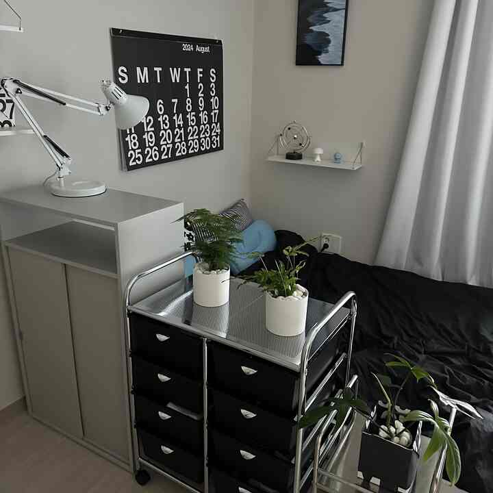 ホワイトとブラックのトーンでまとめられたモダンな寝室、収納家具と植物が配置された雰囲気のある空間