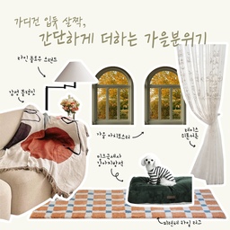 🌬️ 여름의 무더위가 지나고 서늘한 바람이 부는 간절기입니다. 마치 반팔 위에 가디건을 걸치듯, 집도 가볍게 간절기를 준비해보세요💫 
얇은 담요나 러그를 추가하고 커튼만 바꿔도 공간 속 계절이 달라집니다. 쉽고 간단하게 가을을 맞이하는 아이템을 알려드려요.
💼이런분들께 추천드려요!
- 시원해지는 날씨에 맞춰 분위기를 바꾸고 싶어요
- 가구를 다 바꾸긴 어렵고, 패브릭만으로 손쉽게 분위기를 변화시키고 싶어요
- 아늑하고 감성적인 거실을 연출하고 싶어요
🛋️ 가을 컬러의 블랭킷과 장스탠드 조명만 더해줘도 계절감이 바뀌어요.
🌞 브라운 컬러가 들어간 러그와 액자로 따뜻한 느낌을 더하고, 레이스 커튼으로 가을 햇살을 부드럽게 필터링하여 청명한 하늘을 감상해보세요.
🖼️ 창가 풍경이 담긴 포스터를 추가하면 아늑한 가을 분위기를 더욱 풍성하게 만들 수 있습니다.
🐕반려동물을 위한 그린톤의 극세사 방석을 더해 계절의 변화를 함께 느낄 수 있습니다.
💰예산
Total 53만원 대
🧑‍🎨스타일링 디자이너 @mmm_mingoo
✏️에디터 @보라
#오스타일북 #가을 #환절기 #간절기 #가을스타일링 #가을스타일 #가을맞이 #가을분위기 #추천 #추천스타일 #홈스타일링 #스타일링 #거실 #원룸 #소파 #패브릭 #데코 #조명 #스탠드 #쿠션 #커튼 #내추럴
