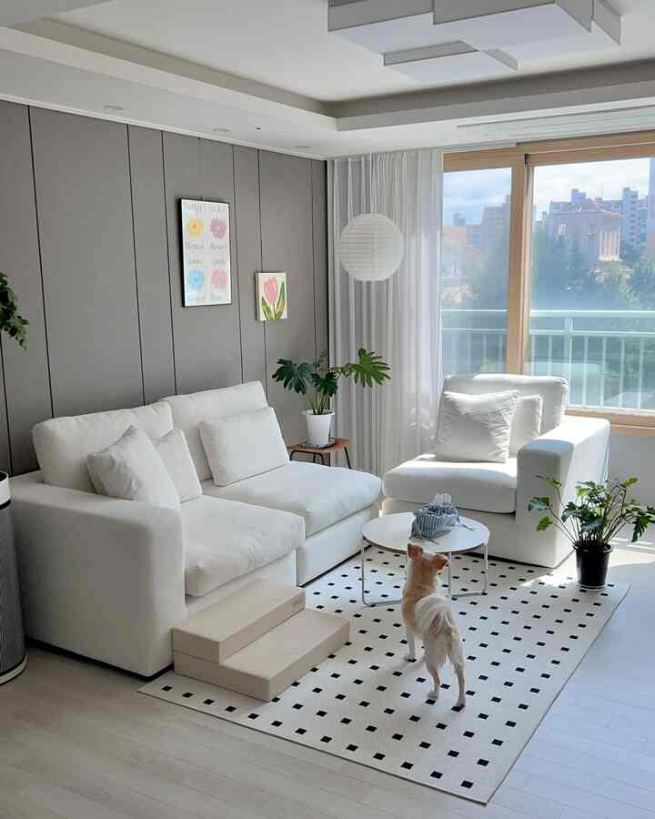 White and gray toned living room featuring white sofa and armchair with small pet steps and plants, bright and clean space