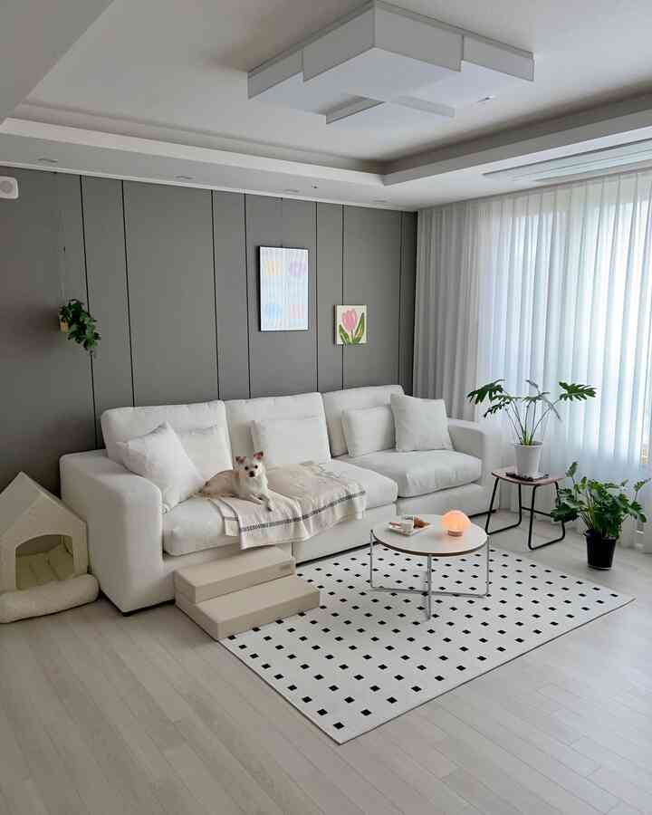 グレーのアクセントウォールと白いソファが配置されたナチュラルモダンなリビング、ペットの犬と植物が調和した落ち着いた空間