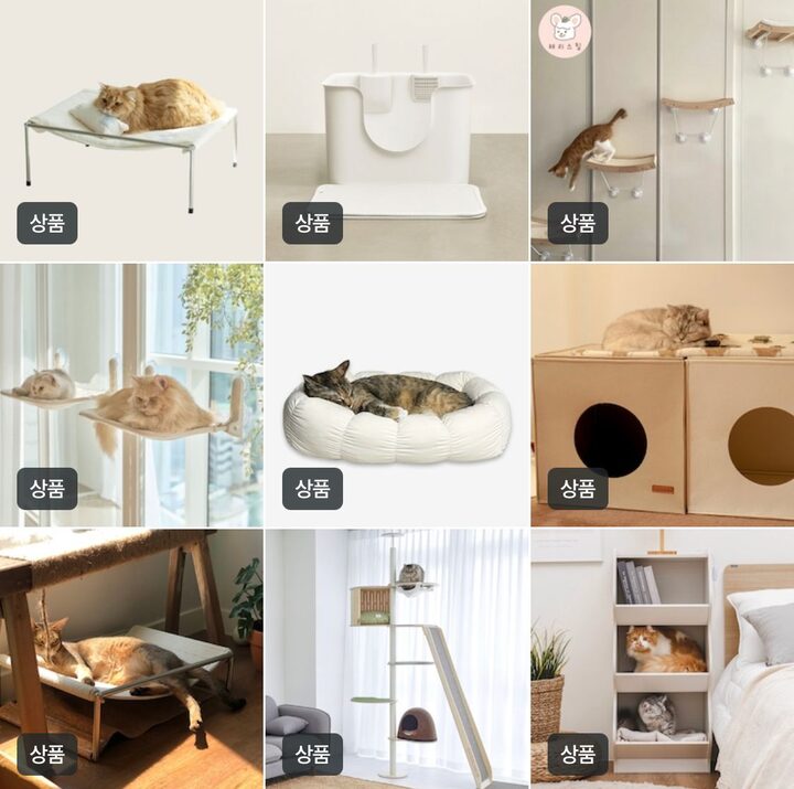 short form carousel card thumbnail