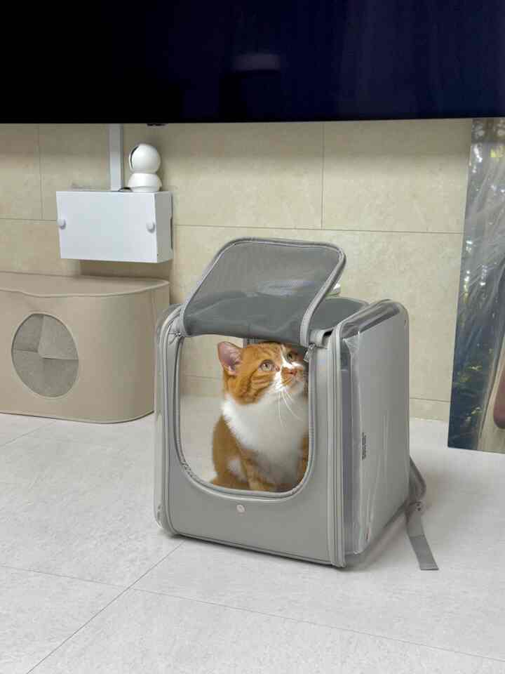 #반려동물이동가방

丸さんが使用する移動バッグは「オク・ヒドッヒ透明ネモバッグパック」です！外出することにストレスを受ける猫の特性を考慮し、床と執事両方とも快適で丈夫な移動場として選びました！