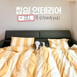 자기 전, 
침대에서 뒹굴뒹굴하면서 휴대폰 하는 사람
간접조명으로 불끄고 자는 사람 계시죠?🙋‍♀️
침실 인테리어, 이 부분은 꼭 신경써주세요! 바로 바로, “전기 공사”입니다!
1️⃣
저는 남편과 제 매트리스 헤드 위치에 각각 콘센트를 추가 증설했어요. 
또, 침대 헤드를 올리면 콘센트가 안보이도록 높이도 신경 써서  잡았답니다.
덕분에, 자기 전 휴대폰 충전하면서 뒹굴거리기 아주아주 편해요!
2️⃣
간접 조명은 누워서 손이 닿는 위치에 스위치를 만들었어요!
덕분에 자기 전에 편하게 껐다 켰다 할 수 있답니다.
이 부분은 물론 스마트 조명을 사용하면 쉽게 해결 가능하지만,
(졸릴 때는 휴대폰 킬 힘도 없더라구요 전…ㅋㅋㅋ)
그런 의미에서 손이 닿는 위치에 스위치 증설 강추 드립니다 :)
전기공사 부분은 인테리어 시공 맡길 시 
조금 귀찮을 수 있는 부분이지만  
만족이 너무 컸던 포인트기에 이렇게 남겨봅니다! 
다들 그럼 만족스러운 인테리어 하시길 바라요!🫶💛
.
.
.
#오늘의집 #인테리어디자인 #전기공사 #인테리어꿀팁 #홈스타일링 #집스타그램 #버터하우스 #ftc10기이야기 