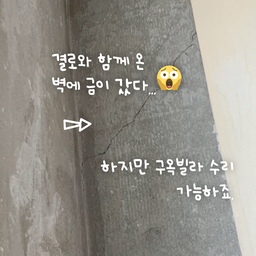 🚨🚨 벽에 왜 금이 간건데?🤨
🔨 콘크리트 벽 크랙 보수 어렵지 않아요.
🔨빠데와 스크래퍼 두가지만 있다면 끝
🔨곰팡이가 있던 벽을 철거했는데 크랙을 발견했다면? 꼭 보수 후에 초배지 시공후 다시 벽지 재작업을 권장 드려요. 여기서 잠깐! 한가지 더 시공하면 좋은데 요고요고 뭘까요~? 다음 이야기에 가져올게요!
📍 콘크리트 벽 크랙 보수제로 벽의 금을 없애보자
📍 준비물 : 빠데, 스크래퍼
🎬 어필미 채널 모음
✅ @appeal_me_ 프로필에서 확인!
----------------------------
🌈 재밌었다면 좋아요
🌈다시 필요하다면 저장
🌈 내사람들에게 공유 및 태그 @
📧 리빙스타일리스트
@appeal_me_ 팔로우 알뜰살뜰 구축빌라 라이프 구경하세요! ⛏
#벽꾸미기 #결로 #결로방지 #빠데 #벽금수리 #셀프인테리어달인 #셀프인테리어 #벽수리 #콘크리트균열 #콘크리트 #맞팔 #맞팔해요 #맞팔환영 #집에서제일바빠 
