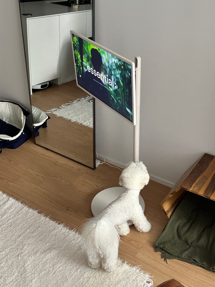 short form carousel card thumbnail