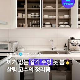 고수들의 수납 비결, 저만 궁금한 거 아니죠?😮 2024 한 해, 유저가 가장 많이 눌러 본 칼각 주방 속 제품 정보! 꿀템 오브 꿀템만 딱 정리해서 알려드려요💖
#올해잘산템 #주방정리 #주방수납 #칼각수납정리 #칼각수납 #수납템 #정리템 #수납장 #상하부장 #상부장 #하부장 #팬트리 #선반  #살림 #살림고수 #살림꿀템 #살림꿀팁 #살림추천템 #블프 #블랙프라이데이 