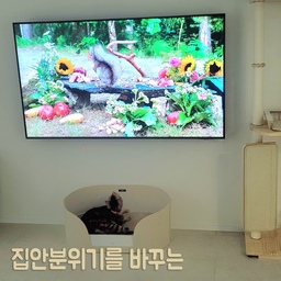 집안분위기를 바꾸는 예쁜 가전템 TOP3
작은 평수도 완벽해지는 예쁜 가전템 추천할께요. 