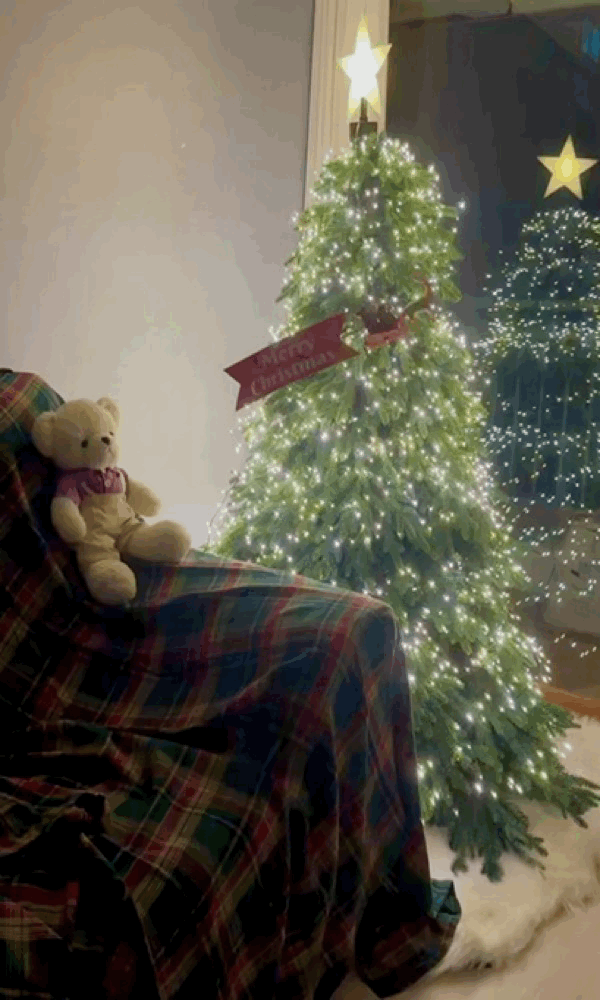 💌24年12月1週間週間人気の写真BESTに選定

サンタがそりに乗ってプレゼントをくれたら？！

＃私も持っていますクリスマスのシステム＃今日からクリスマス ＃キダルトテム自慢 