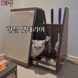 Ep4. 현실펫테리어 [적응기 짧게보내기]
  #몽땅모아스크래쳐
안에 고양이용품들로 채울 수 있는 멋스러운 수납장이에요.
옆에는 스크래쳐로 되어있어 가끔 정상 위를 오르내리곤 한답니다.
하지만 이쁘고 멋스러운거와 달리 이 수납장을 열기만 하면
들어가서 안나오는 현실,
몽땅 넣을 수 있는 것은 고양이까지 넣을 수 있다는 말이었을까요??!
아니면 스크래쳐+수납기능을 뛰어넘어
숨숨집기능까지 하려는 작전일까요 ?
#먼치킨 #고양이인테리어 #펫테리어 #냥테리어 #반려동물인테리어 #원목캣타워 #서브캣타워 #장난감수납장 #반려동물장난감수납장 #반려동물수납장 #고양이수납장 #고양이용품 #반려동물용품 #고양이침대 #고양이낚시대 #고양이집 #숨숨집 #스크래쳐 #몽땅모아스크래쳐 #위드미어캣 #오볼로  #선팔 #맞팔 #좋아요 