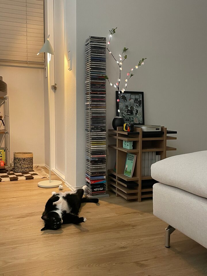 short form carousel card thumbnail