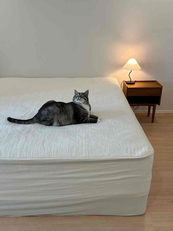 ホワイトと木目調が調和した寝室、中央に猫が横たわり、右側に木製のナイトテーブルとランプが配置されたシンプルで落ち着いたインテリア