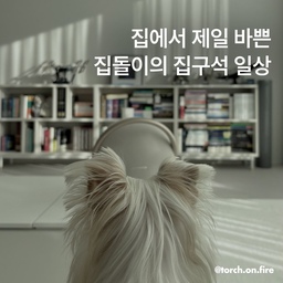 안녕하세요, 디자이너 이토치 입니다.
모두들 크리스마스 잘 보내셨나요?
저는 사람 많은 곳에서는 기가 빨리는 타입이라
휴일은 주로 집에서 보내고 산책을 하는 편입니다.
그래서 오늘은 저의 집구석 일상을 소개하려고 해요.
#일상 #취미 #일상공유 #디자인 #건축 #인테리어 #홈스타일링 #공간디자이너 #강아지 #공간큐레이션 #반려동물 #강아지랑사는집 #콘수프기록 #ftc12기이야기 #인물등장콘텐츠 #집에서제일바빠
