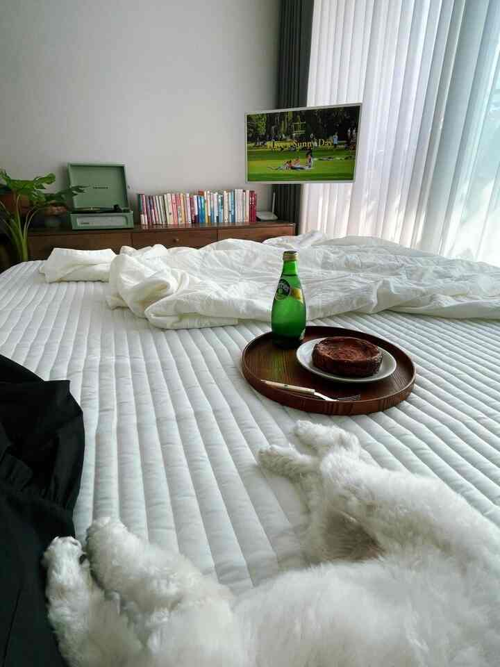 ホワイトと木目調の寝室、犬とテレビのある落ち着いた雰囲気の空間