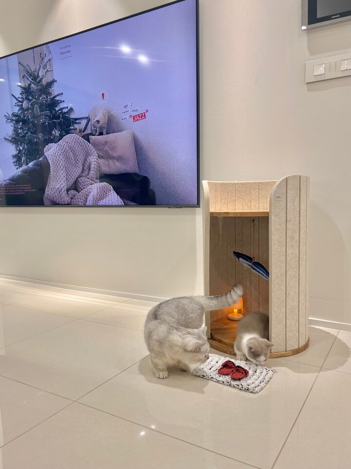 short form carousel card thumbnail