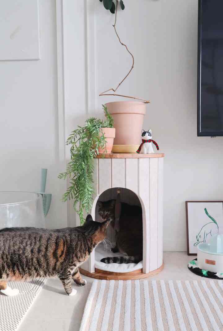 ベージュとホワイトの色調の室内空間に置かれたキャットハウスと2匹の猫、テラコッタの鉢植えと植物が配置された雰囲気のあるインテリア