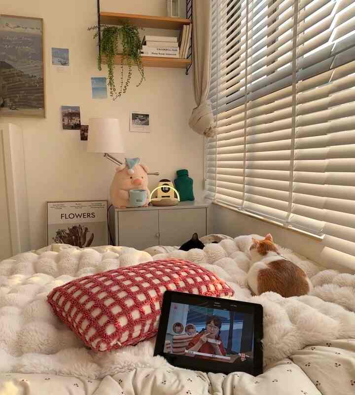 柔らかなベージュのブランケットと白いブラインドがあるワンルーム寝室、くつろぐ二匹の猫と快適なベッドが配置された雰囲気のあるインテリア