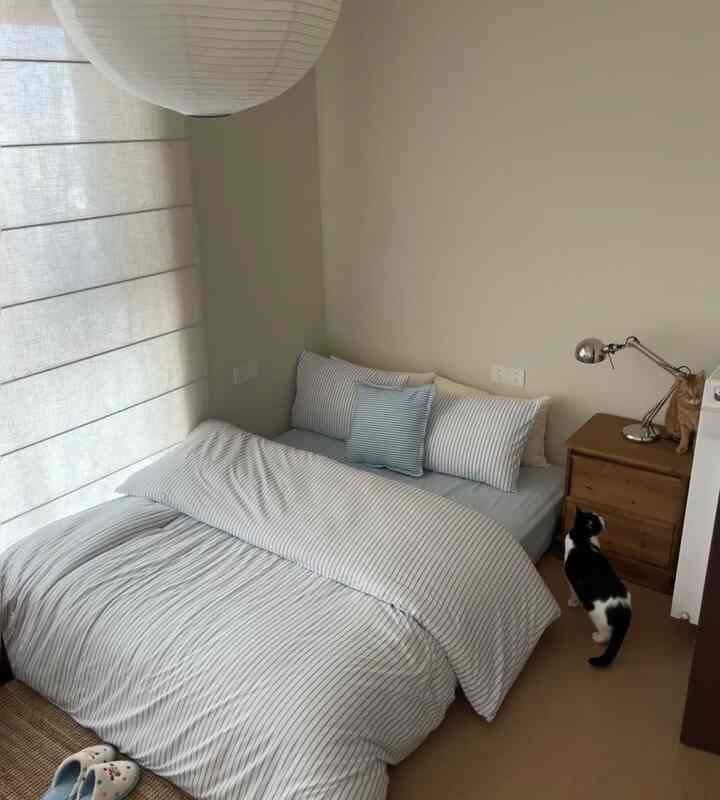 ライトグレーとホワイトの色合いの寝室、ストライプの寝具と木製のナイトテーブルが配置され、2匹の猫がいる雰囲気のあるインテリア。